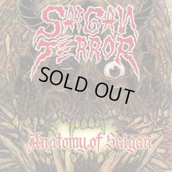 画像1: SAIGAN TERROR / Anatomy of saiagn (Lp) Triple-B