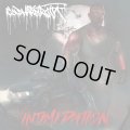 COLD HARD TRUTH / Intimidation (cd) Rucktion 