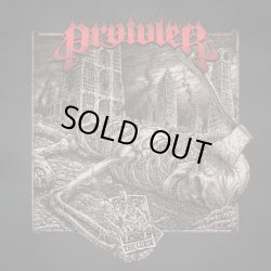 画像1: PROWLER / The curse (cd) Rucktion 