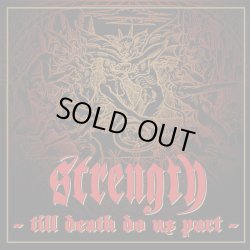 画像1: STRENGTH / Till death do us part (cd) 半田商会 