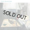 Gale Boetticher / st (7ep) Imakinn 