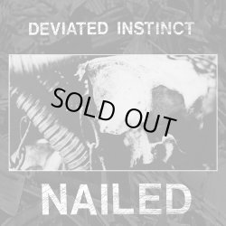画像1:  DEVIATED INSTINCT / Nailed (12") Terminal filth 