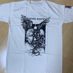 画像2: DEVIATED INSTINCT / Husk (t-shirt) Terminal filth  