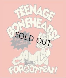 画像1: TEENAGE BONEHEADS / Fucking gone and completely... forgotten! (cd) I Hate smoke