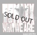 T.J.MAXX / What we are (cd) Pittbull japan 