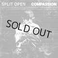  SPLIT OPEN, COMPASSION / split (Lp) Rsr 