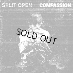 画像1:  SPLIT OPEN, COMPASSION / split (Lp) Rsr 