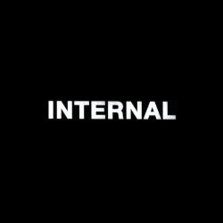 画像1: INTERNAL / st (Lp) Rsr 