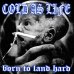 画像1:  COLD AS LIFE / Born to land hard (cd) A389   (1)