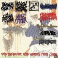 V.A. / Gore and bizarre grind warriors from japan (cd) Happy despatch productions