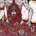  MEAT SHITS / Bowel rot (cd) Meat 5000  