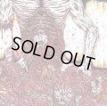  MEAT SHITS / Bowel rot (cd) Meat 5000  