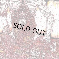 画像1:  MEAT SHITS / Bowel rot (cd) Meat 5000  