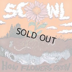 画像1: SCOWL / How flowers grow (cd)(Lp) Flatspot
