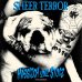 画像1: SHEER TERROR / Ugly and proud -NYC edition- (Lp) Superhero    (1)