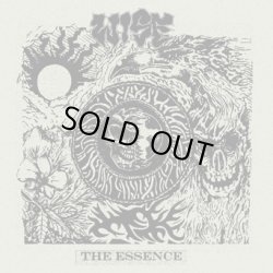 画像1: WISE / The essence (Lp) Triple-B 