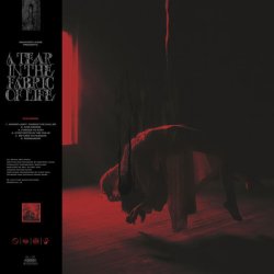 画像1: KNOCKED LOOSE / A tear in the fabric of life (cd)(Lp) Pure noise entertsaiment   