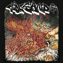 画像1: VOLCANO / Fool 2 tha game (cd)(Lp) Daze 