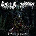 TERMINAL NATION, KRUELTY / The ruination of imperialism (cd) Dead sky