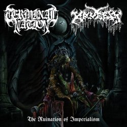 画像1: TERMINAL NATION, KRUELTY / The ruination of imperialism (cd) Dead sky