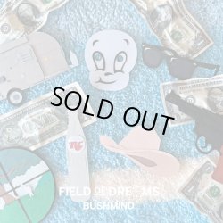 画像1:  BUSHMIND / Field of dreams (cd) Alwayth