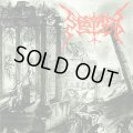 STAINED / No destruction, no creation (cd) Self   