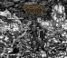 画像2: DESERVE TO DIE / st (Lp) discosmecagoendios   (2)