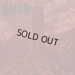 画像1: CAILN / The essence of ruthlessness (cd) Dead sky 