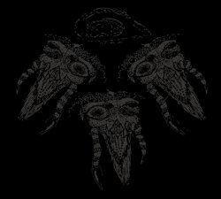 画像1: TRIKORONA / 様々な困惑 (cd + flexi) Hello from the gutter  