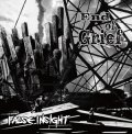 FALSE INSIGHT / End of grief (cd) self 