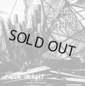 FALSE INSIGHT / End of grief (cd) self 