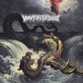 View From The Soyuz / Immaculate (Lp) Daze