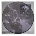 MONJU / Proof of magnetic field (Lp) P-vine 