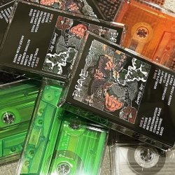 画像1: BRAVE OUT / World's rot (tape) Fired stomp 