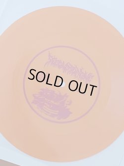 画像2: SECOND TO NONE / LightsembraceEvilskiss -orange- (flexi) Hello from the gutter 