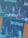 SECOND TO NONE / LightsembraceEvilskiss -orange- (flexi) Hello from the gutter 