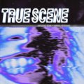  MINDED FURY, GAME CHANGER / Split -True scene- (cd) Death farm