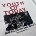画像2: YOUTH OF TODAY / 1987 Summer tour (t-shirt) Revelation  