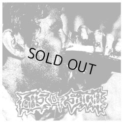 画像1: FOILS OF SEIGHT / Into the foils (7ep) Rescued from life
