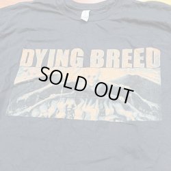 画像1: DYING BREED / Marked man (t-shirt) A389  