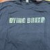 画像1: DYING BREED / Take my soul ... (t-shirt) A389   (1)