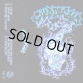  COLD DECAY / st (tape) Quality control hq  