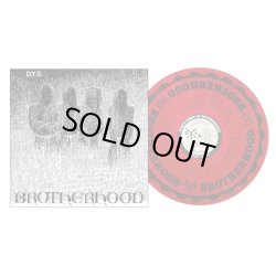 画像1: D.Y.S. / Brotherhood (Lp) Bridge nine 