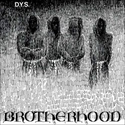 画像2: D.Y.S. / Brotherhood (Lp) Bridge nine 