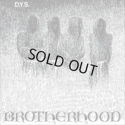 画像2: D.Y.S. / Brotherhood (Lp) Bridge nine 