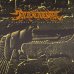 画像2: INDICATION / Ataraxia of the phoenix (Lp) Daze (2)
