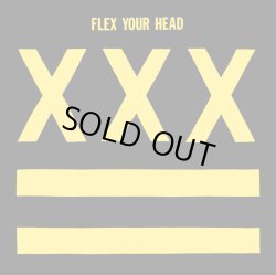 画像1:  V.A / Flex your head (Lp) Dischord 