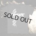 STOUT / Dna (t-shirt) A389 