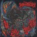 画像2: KRUELTY / Profane usurpation (Lp) Closed casket activities (2)