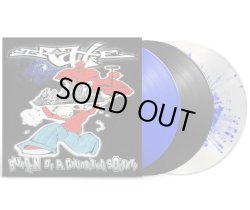 画像1: IRATE / Burden of a crumbling society (Lp) 